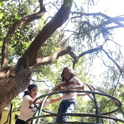 Vidyaramba students climbing on outdoor play equipment surrounded by trees